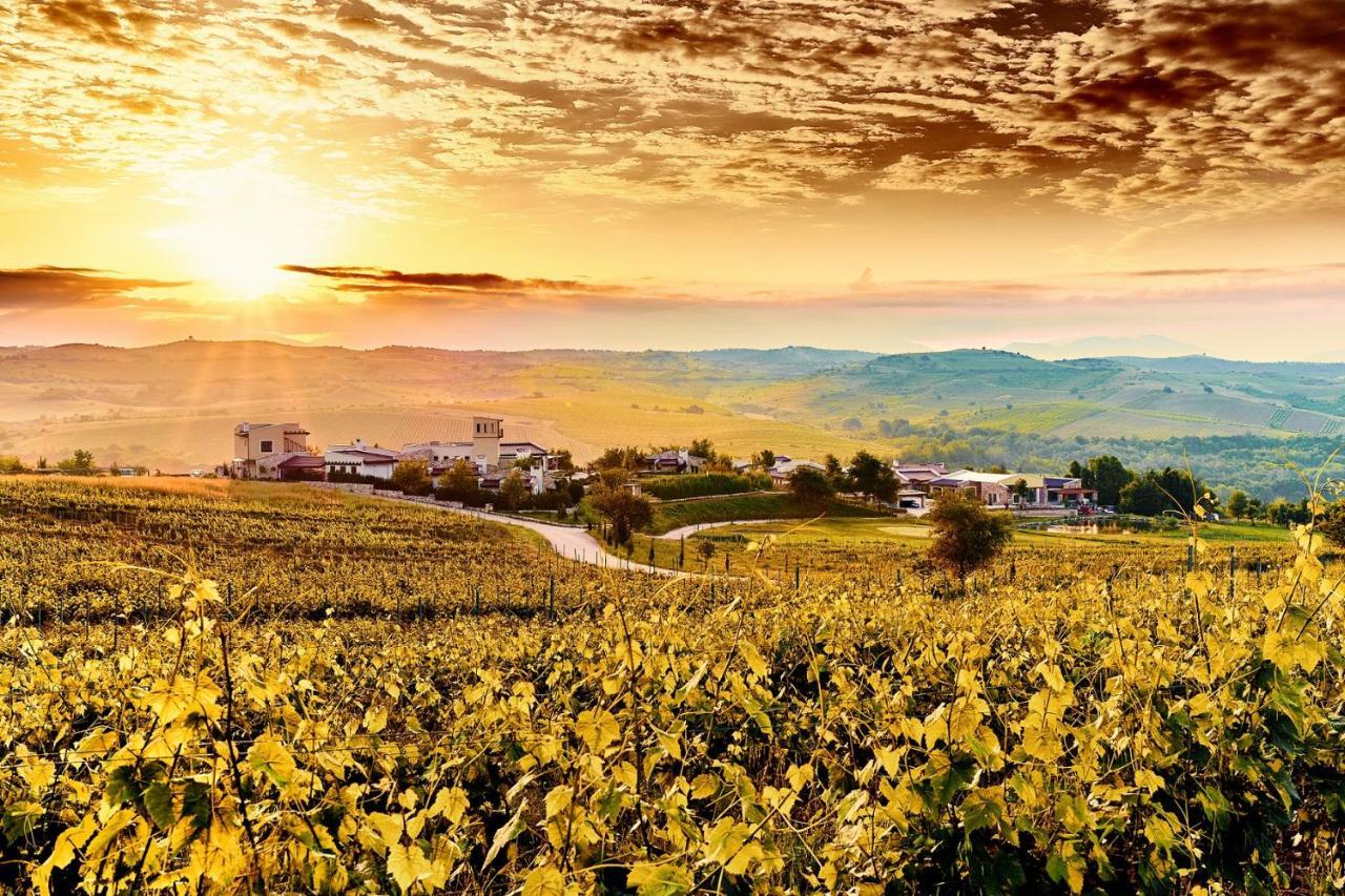 Zornitza Family Estate Relais & Chateaux Melnik  Eksteriør bilde